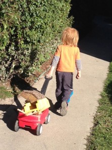 Blog Boy with wagon