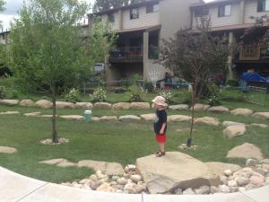 Ender on the Common a week and a half later. Massive clean up effort, by hundreds of volunteers. Thank you!