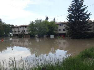 1049215_10151457921115936_1466564193_o