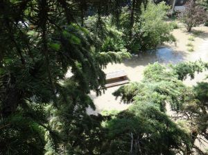 976564_10151457921200936_451385240_o