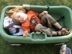 Sleeping Ender in Wagon