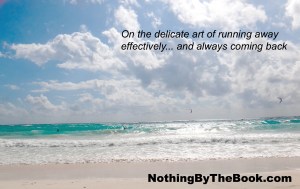 Art of Running Away NBTB