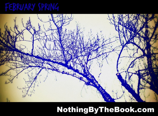 nbtb-Feb Spring