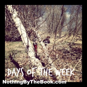 nbtb-days of the week