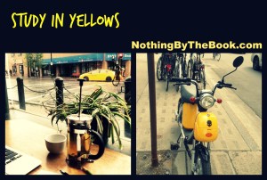nbtb-study in yellows