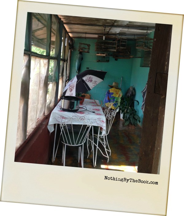 22-Verandah with birds