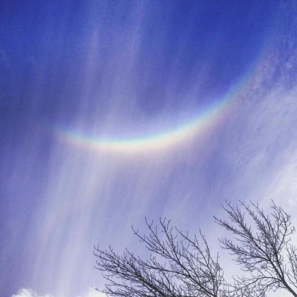 16299617_1606279906055235_5721130552375612328_o